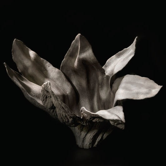 Celebrating Women Artists Ceramic Expressions 5th Edition, 14 22 Jan