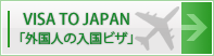 Information about visa