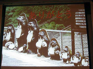 Video Image of Tanuki